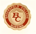 Picture of Bakersfield College RN Pin